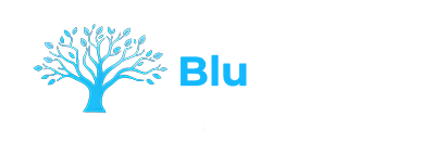 BluBanyan Media Co